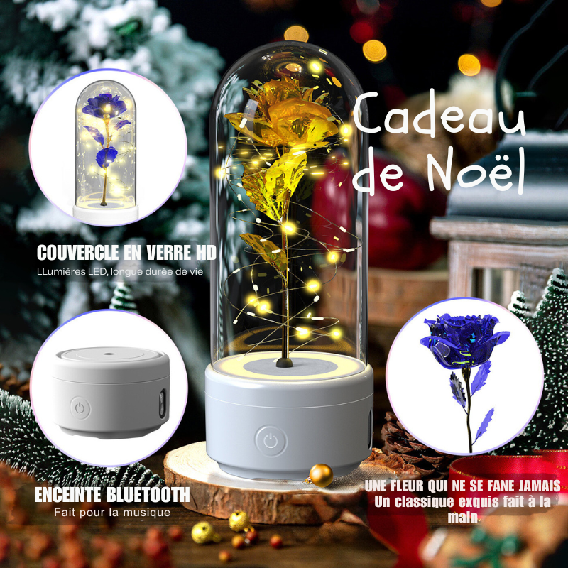 Lumières d’Étoiles