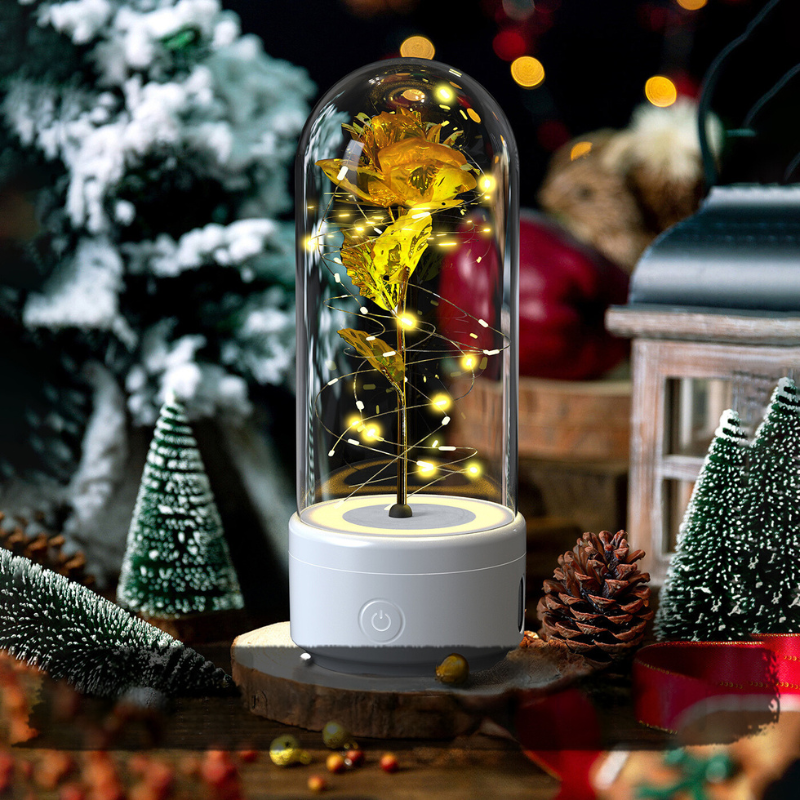 Lumières d’Étoiles